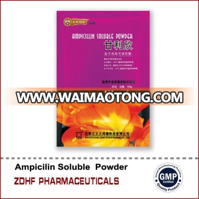 Veterinary Use Ampicillin Powder for Poultry